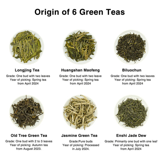 Chinese Green Tea Collection – 6 Premium Teas for Tea Lovers 600g